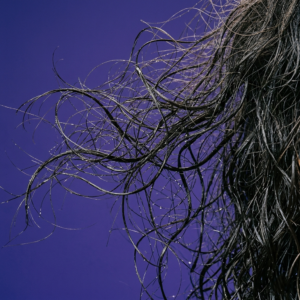 The "Wet Frizz" Trap: Why Fine, Dense Asian Curls Frizz Before They Even Dry 06 02